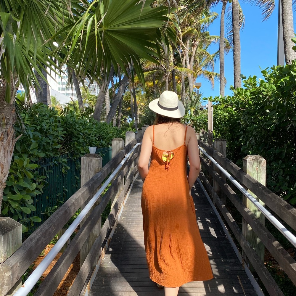 Zara dress